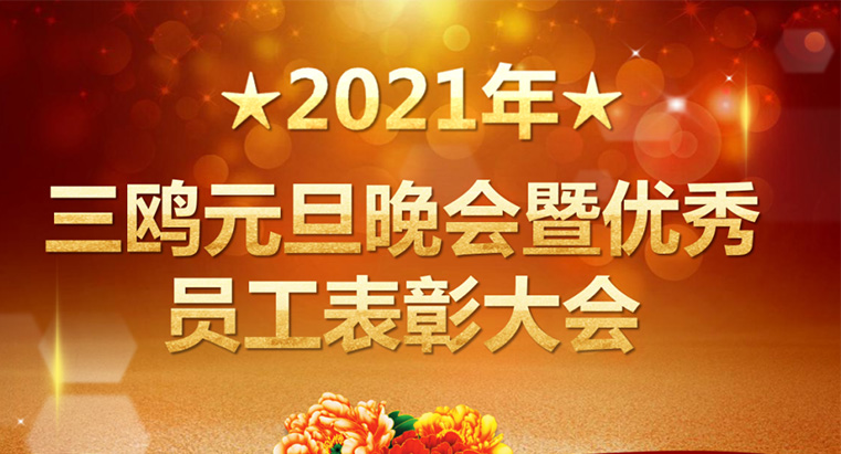 2021年三鸥元旦晚会暨优秀表彰大会